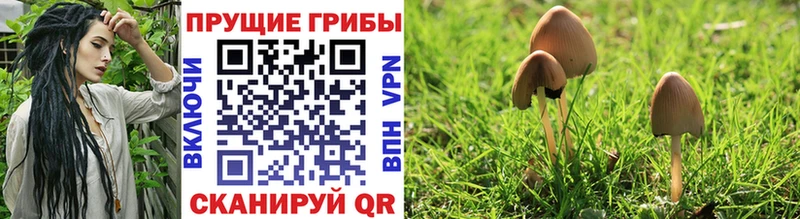 Псилоцибиновые грибы прущие грибы  Кизел 